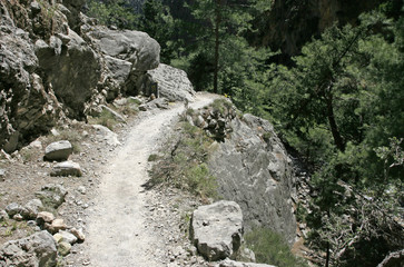 The trekking path on the steep slope in the mountain pine forest on the sunny day on Crete island.