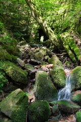 Geroldsau, Wasserfall, Bach