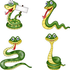 snake collection set