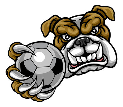 Bulldog Holding Soccer Ball Football Mascot
