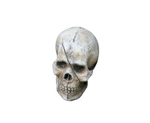 human skull isolated on white background.clipping path