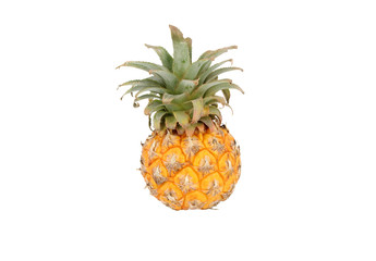 Pineapple whole small