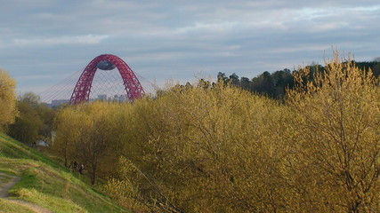 Живописный мост