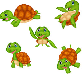 Cartoon turtle collection set