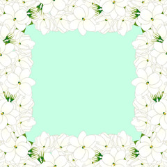 Arabian jasmine Border on Green Mint Background