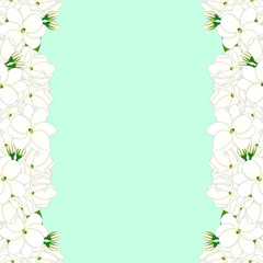 Arabian jasmine Border on Green Mint Background