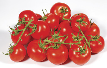 Tomato. Tomato branch. Tomatoes isolated on white.

