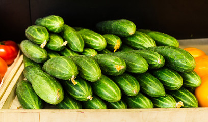 Ripe cucumbers are laid out in a box on a shelf in the grocery store.