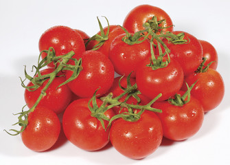 Tomato. Tomato branch. Tomatoes isolated on white.
