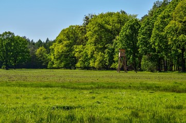 Sunny spring landscape. A hunting tower on a clearing in a green forest.
