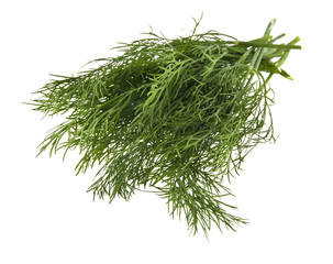 green dill isolated on white background