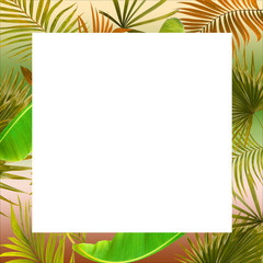 frame picture with green leaf of palm tree background