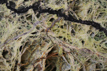 serpentinite mineral texture