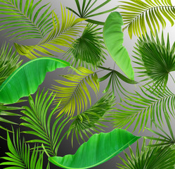 double exposure mix leaves of palm tree background