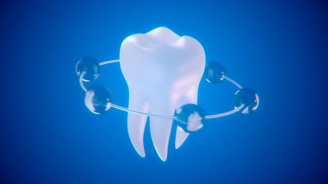 4k Molar Tooth rotation Animation