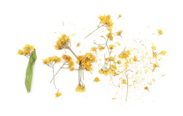 Dry linden flowers and leaves isolated on white background, top view