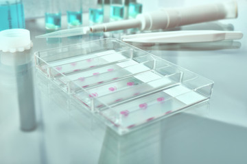 Tissue sections, battery of jars with fixed tissue samples on glass. Toned image, text space.