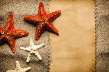 Blank paper sheet and various starfish on beach sand background