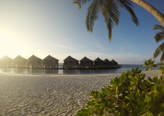 Tropical Beach Paradise. Island Of Maldives in Indian Ocean Blurred Background