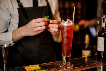 Barman adding the mint leaves to the fresh red cocktail