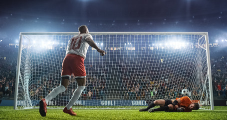 Soccer goalkeeper in action on the stadium
