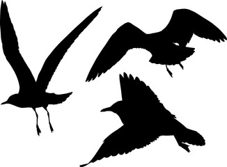 set of three black seagulls illustration