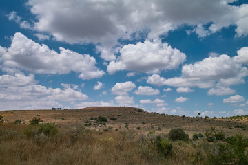 Flat hill landscape, cloudy summer sky