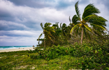 Varadero beach