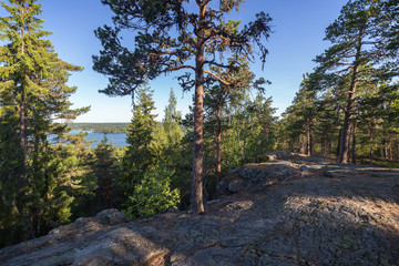Fototapeta premium Lake and lush forest viewed from the rocky hilltop of Pirunvuori (