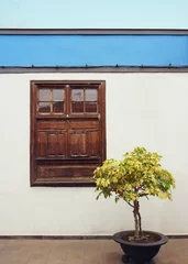 Zelfklevend Fotobehang Beautiful detail of a typical facade of a small house with window and a plant in Garachico, Tenerife, Canary Island © vali_111