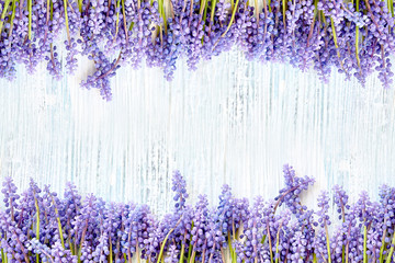 Spring background. Blue muscari flowers frame on blue wooden background. Copy space, top view
