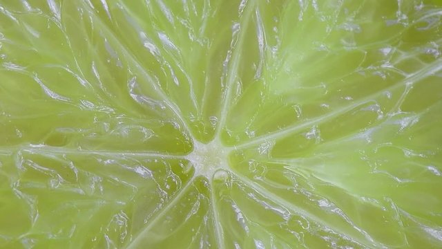 bergamot background rotation
