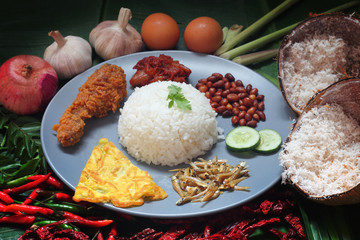Asian food nasi lemak