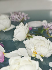 beautiful flowers and water