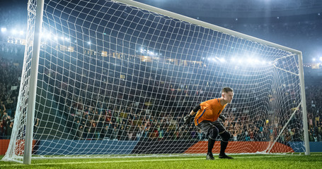 Soccer goalkeeper in action on the stadium