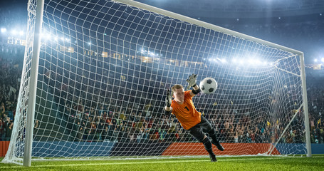 Soccer goalkeeper in action on the stadium