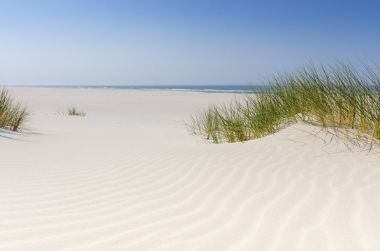 Dzika bałtycka plaża w Białogórze © Dejan Gospodarek