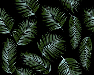 Seamless pattern of tropical leaves palm tree