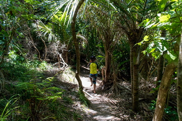 Child walking through tropical bush