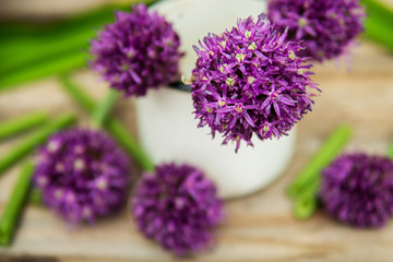 Purple "Chives" flower (or Wild Chives, Flowering Onion, Garlic Chives, Chinese Chives, Schnitt Lauch) edible flowers