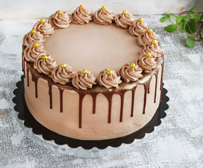 Chocolate Cake with Fudge Drizzled Icing and Curls