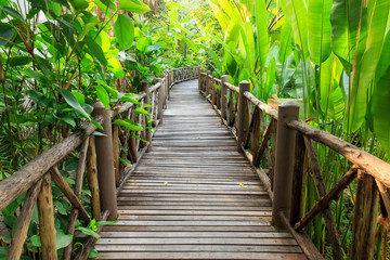 Naklejka na ściany i meble Wooden walkway through a tropical garden.