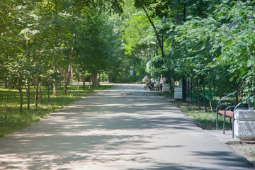 Blurred image of people walking in the park. A woman is walking with a dog. A child is riding a bicycle
