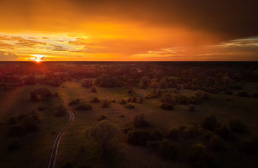 Sunset, aerial, atmospheric view on curving sandy path, Moremi forest, Botswana. Typical ecosystem,...