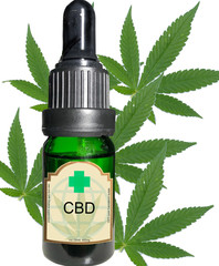 Marijuana plant and CBD oil 18