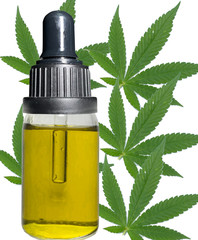 Marijuana plant and CBD oil 23