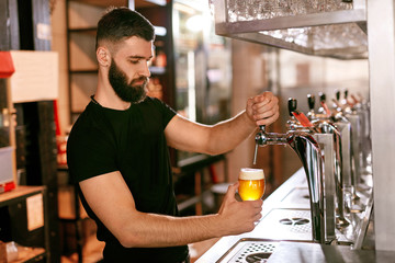 Bartender Working At Bar Pub Pouring Beer In Glass