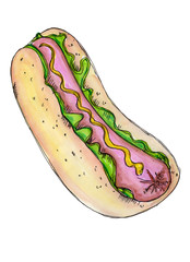 Hand drawn watercolor hot dog.