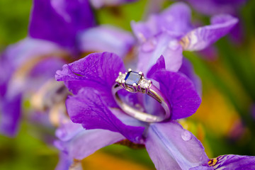 Engagement ring with diamonds and sapphire perched in a purple flower
