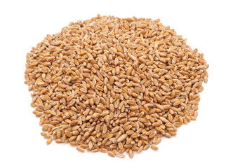 Whole grain of wheat.